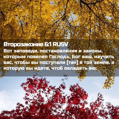 Picture 02 - Второзаконие 6:1 RUSV - Вот заповеди, - Bible Verse Picture