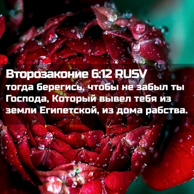 Picture 02 - Второзаконие 6:12 RUSV - тогда берегись, чтобы не - Bible Verse Picture