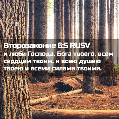 Picture 02 - Второзаконие 6:5 RUSV - и люби Господа, Бога - Bible Verse Picture
