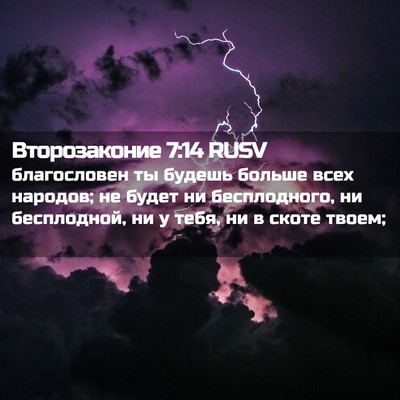 Picture 02 - Второзаконие 7:14 RUSV - благословен ты будешь - Bible Verse Picture