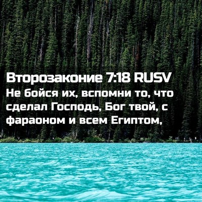 Picture 02 - Второзаконие 7:18 RUSV - Не бойся их, вспомни то, что - Bible Verse Picture