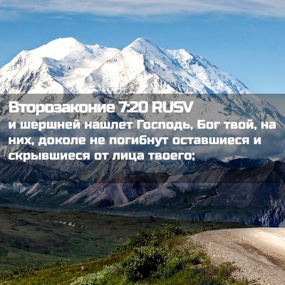 Picture 02 - Второзаконие 7:20 RUSV - и шершней нашлет Господь, - Bible Verse Picture