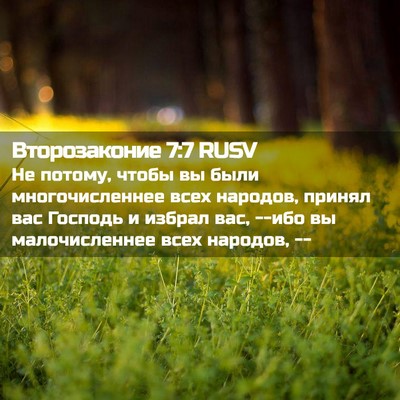 Picture 02 - Второзаконие 7:7 RUSV - Не потому, чтобы вы были - Bible Verse Picture