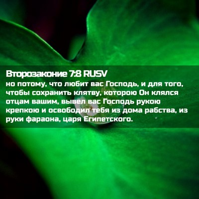 Picture 02 - Второзаконие 7:8 RUSV - но потому, что любит вас - Bible Verse Picture