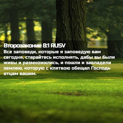 Picture 02 - Второзаконие 8:1 RUSV - Все заповеди, которые я - Bible Verse Picture