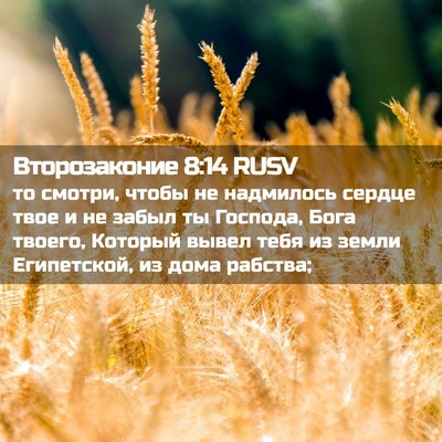 Picture 02 - Второзаконие 8:14 RUSV - то смотри, чтобы не - Bible Verse Picture