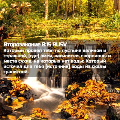 Picture 02 - Второзаконие 8:15 RUSV - Который провел тебя по - Bible Verse Picture