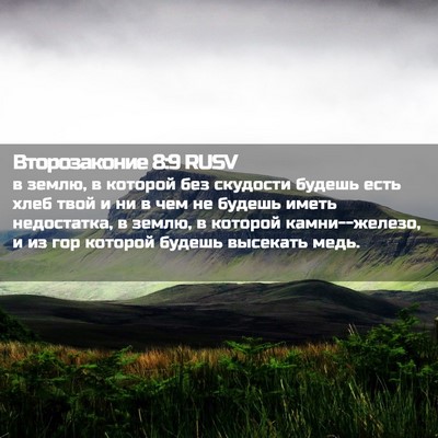 Picture 02 - Второзаконие 8:9 RUSV - в землю, в которой без - Bible Verse Picture