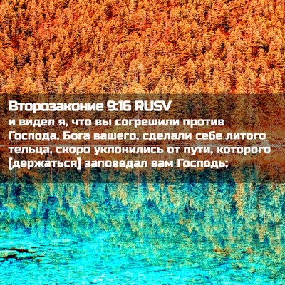 Picture 02 - Второзаконие 9:16 RUSV - и видел я, что вы согрешили - Bible Verse Picture