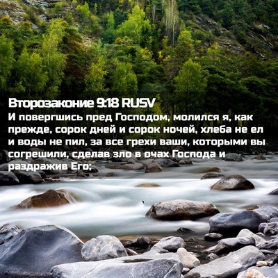 Picture 02 - Второзаконие 9:18 RUSV - И повергшись пред - Bible Verse Picture