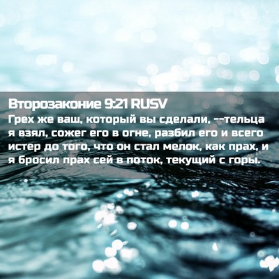 Picture 02 - Второзаконие 9:21 RUSV - Грех же ваш, который вы - Bible Verse Picture
