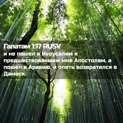 Picture 02 - Галатам 1:17 RUSV - и не пошел в Иерусалим к - Bible Verse Picture