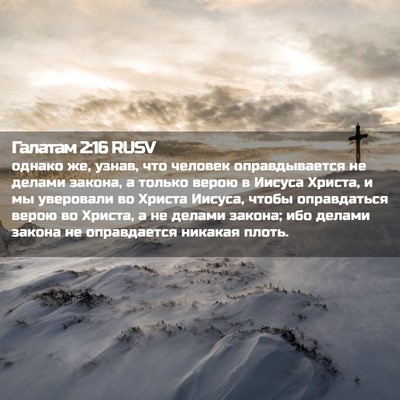 Picture 02 - Галатам 2:16 RUSV - однако же, узнав, что - Bible Verse Picture