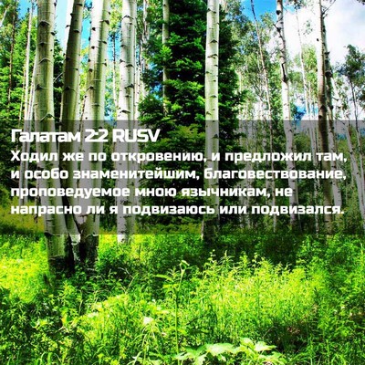Picture 02 - Галатам 2:2 RUSV - Ходил же по откровению, и - Bible Verse Picture