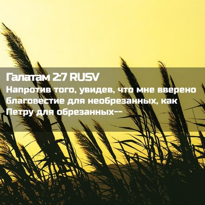 Picture 02 - Галатам 2:7 RUSV - Напротив того, увидев, что - Bible Verse Picture