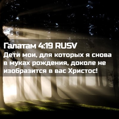 Picture 02 - Галатам 4:19 RUSV - Дети мои, для которых я - Bible Verse Picture