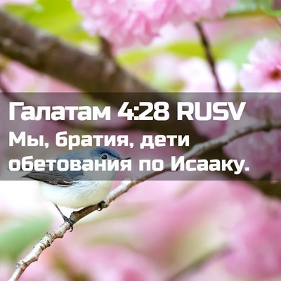 Picture 02 - Галатам 4:28 RUSV - Мы, братия, дети обетования - Bible Verse Picture