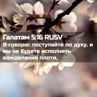 Picture 02 - Галатам 5:16 RUSV - Я говорю: поступайте по - Bible Verse Picture