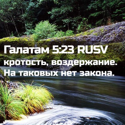 Picture 02 - Галатам 5:23 RUSV - кротость, воздержание. На - Bible Verse Picture