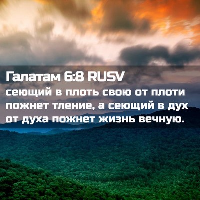 Picture 02 - Галатам 6:8 RUSV - сеющий в плоть свою от - Bible Verse Picture