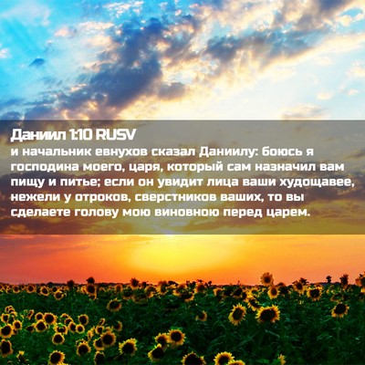 Picture 02 - Даниил 1:10 RUSV - и начальник евнухов сказал - Bible Verse Picture