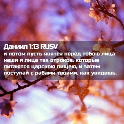 Picture 02 - Даниил 1:13 RUSV - и потом пусть явятся перед - Bible Verse Picture