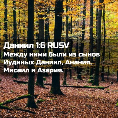 Picture 02 - Даниил 1:6 RUSV - Между ними были из сынов - Bible Verse Picture