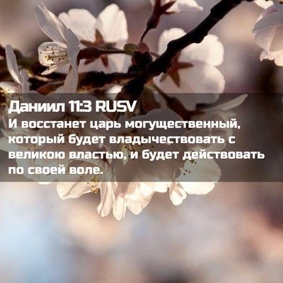 Picture 02 - Даниил 11:3 RUSV - И восстанет царь - Bible Verse Picture