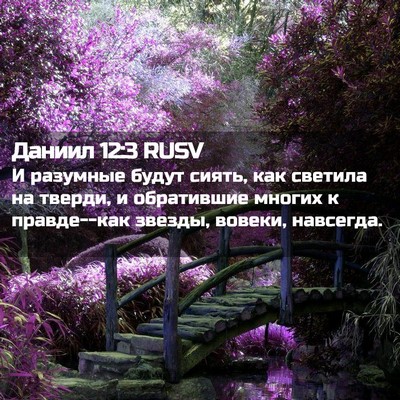Picture 02 - Даниил 12:3 RUSV - И разумные будут сиять, как - Bible Verse Picture