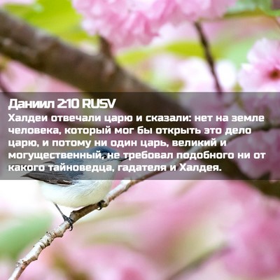 Picture 02 - Даниил 2:10 RUSV - Халдеи отвечали царю и - Bible Verse Picture
