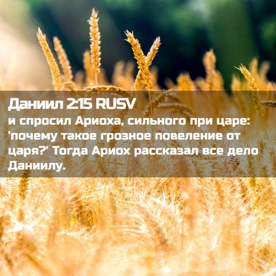 Picture 02 - Даниил 2:15 RUSV - и спросил Ариоха, сильного - Bible Verse Picture