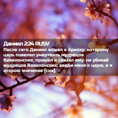 Picture 02 - Даниил 2:24 RUSV - После сего Даниил вошел к - Bible Verse Picture
