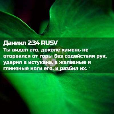 Picture 02 - Даниил 2:34 RUSV - Ты видел его, доколе камень - Bible Verse Picture