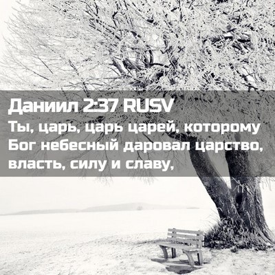 Picture 02 - Даниил 2:37 RUSV - Ты, царь, царь царей, - Bible Verse Picture