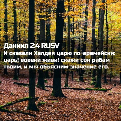 Picture 02 - Даниил 2:4 RUSV - И сказали Халдеи царю - Bible Verse Picture
