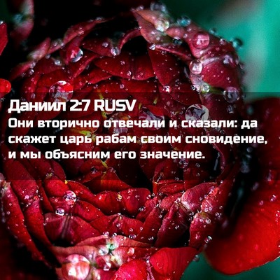 Picture 02 - Даниил 2:7 RUSV - Они вторично отвечали и - Bible Verse Picture