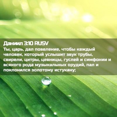 Picture 02 - Даниил 3:10 RUSV - Ты, царь, дал повеление, - Bible Verse Picture