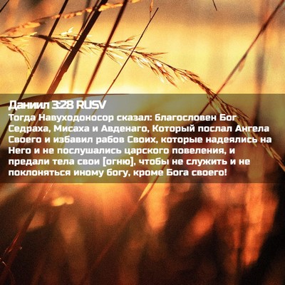 Picture 02 - Даниил 3:28 RUSV - Тогда Навуходоносор - Bible Verse Picture
