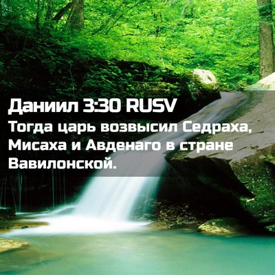Picture 02 - Даниил 3:30 RUSV - Тогда царь возвысил - Bible Verse Picture