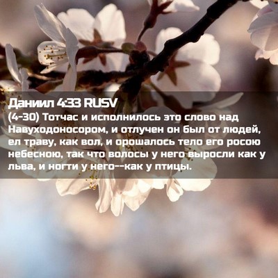 Picture 02 - Даниил 4:33 RUSV - (4-30) Тотчас и исполнилось - Bible Verse Picture