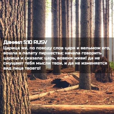 Picture 02 - Даниил 5:10 RUSV - Царица же, по поводу слов - Bible Verse Picture