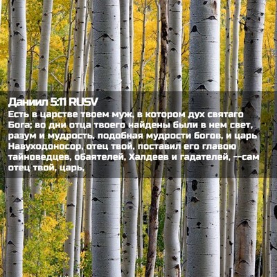 Picture 02 - Даниил 5:11 RUSV - Есть в царстве твоем муж, в - Bible Verse Picture