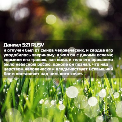 Picture 02 - Даниил 5:21 RUSV - и отлучен был от сынов - Bible Verse Picture