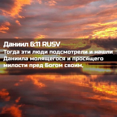 Picture 02 - Даниил 6:11 RUSV - Тогда эти люди подсмотрели - Bible Verse Picture