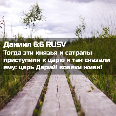Picture 02 - Даниил 6:6 RUSV - Тогда эти князья и сатрапы - Bible Verse Picture