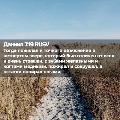 Picture 02 - Даниил 7:19 RUSV - Тогда пожелал я точного - Bible Verse Picture