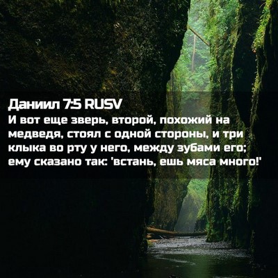 Picture 02 - Даниил 7:5 RUSV - И вот еще зверь, второй, - Bible Verse Picture