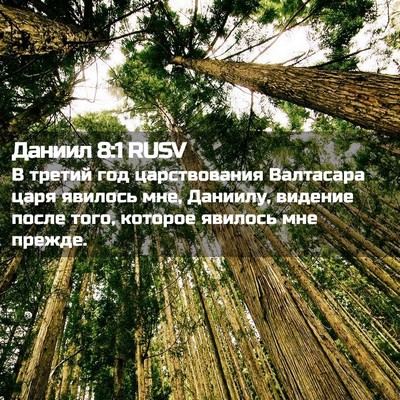 Picture 02 - Даниил 8:1 RUSV - В третий год царствования - Bible Verse Picture