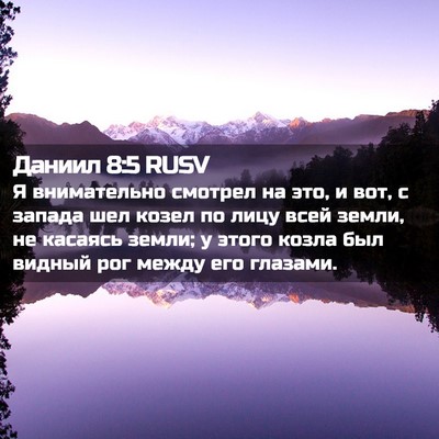 Picture 02 - Даниил 8:5 RUSV - Я внимательно смотрел на - Bible Verse Picture