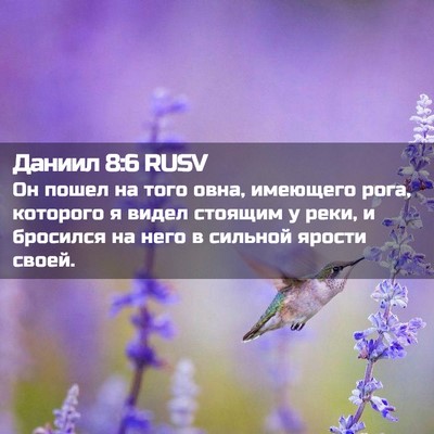 Picture 02 - Даниил 8:6 RUSV - Он пошел на того овна, - Bible Verse Picture